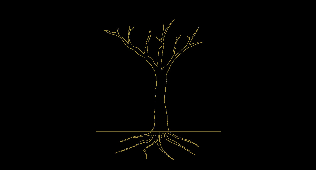 Disegno di un albero, che Francesco de Francesco di Fradèfra Insight ha fatto per rappresentare la crescita interiore.